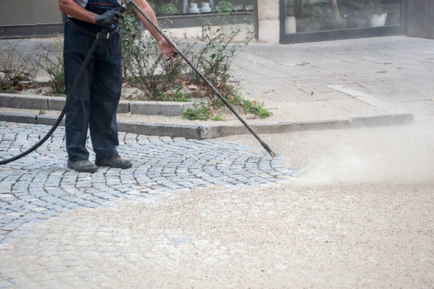 Best Sidewalk and Walkway Cleaning  in South Toms River, NJ